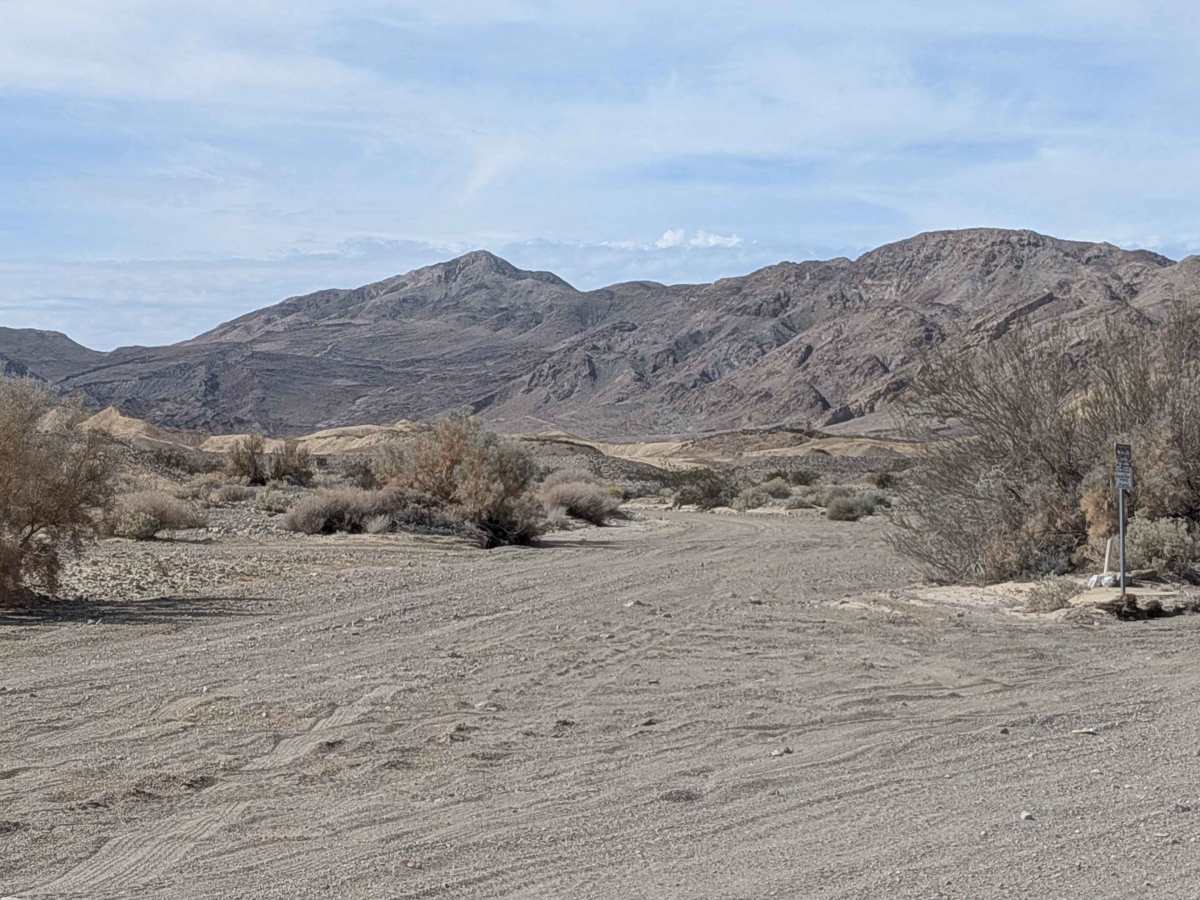 BLM 220 photo 3