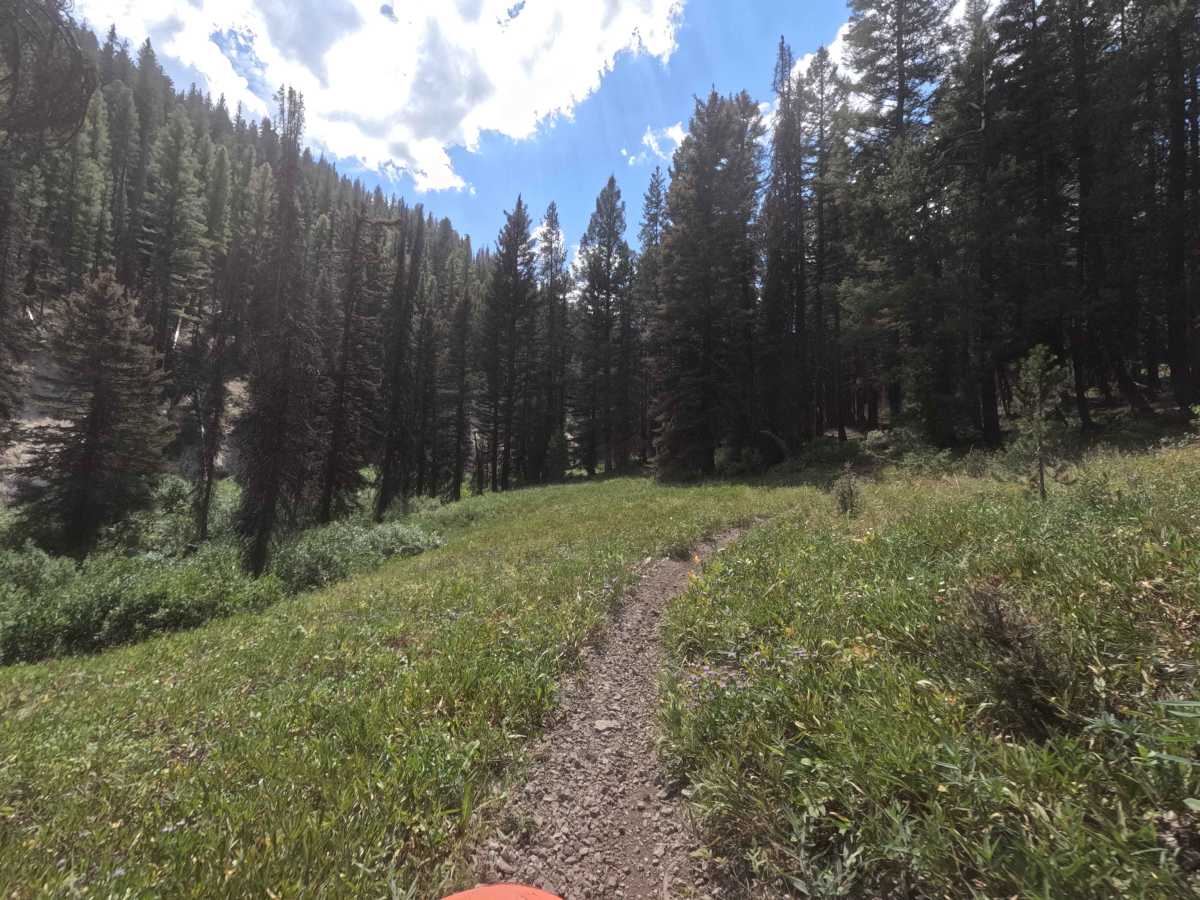 Paradise Creek - FS 7070 photo 4