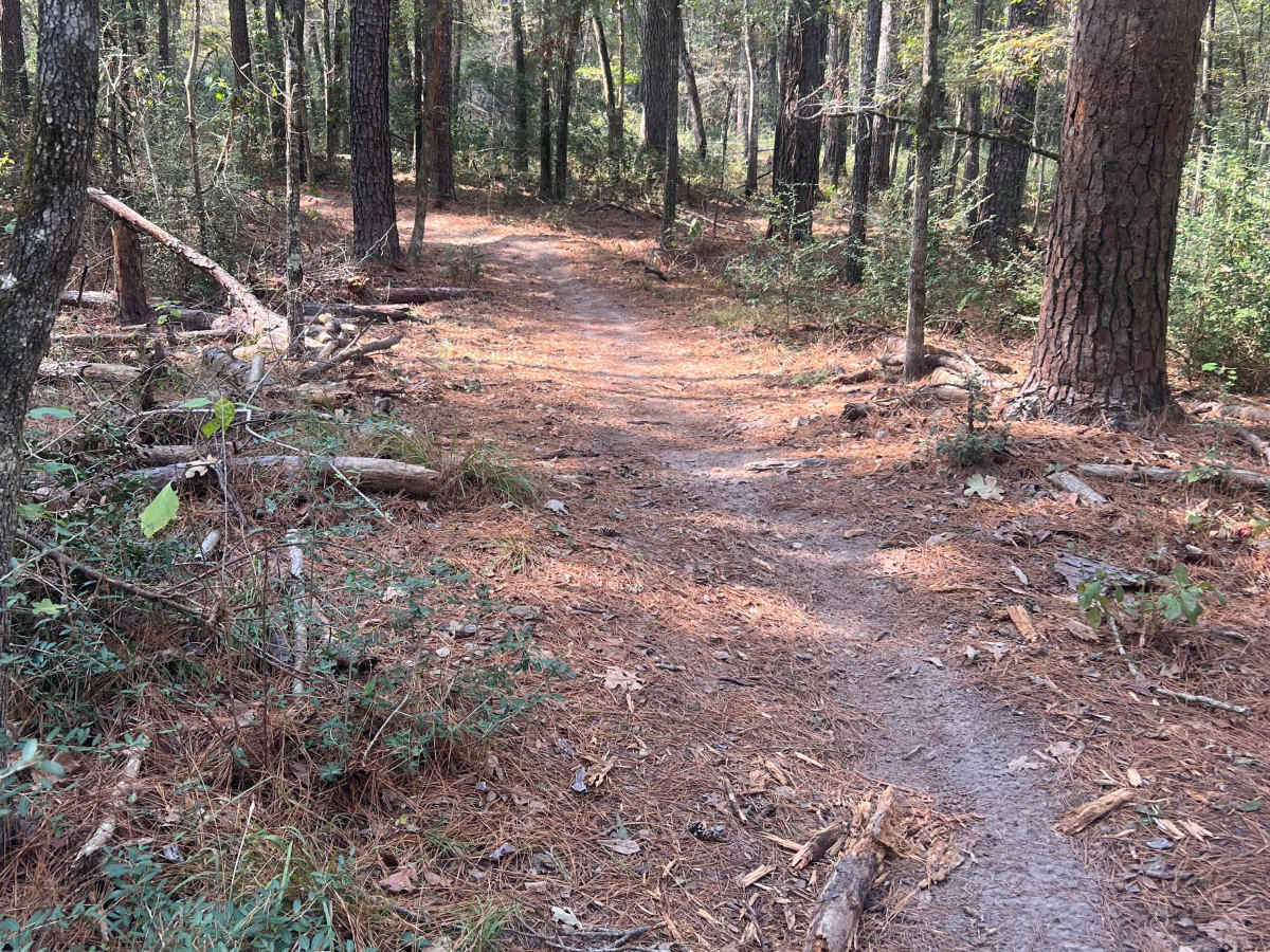 West Side 50 trail photo