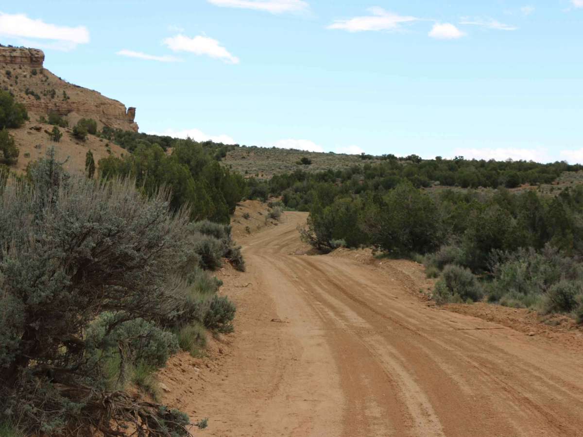 Sagers Bench trail photo