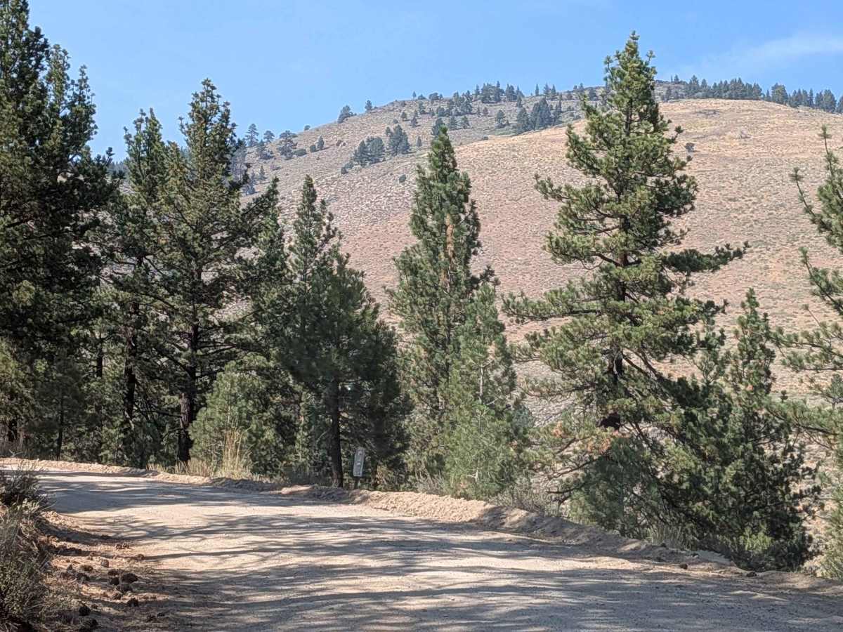 Leviathan Road East - FS 31052 photo 6