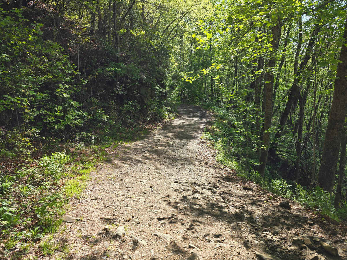 Webb Mill Road trail photo