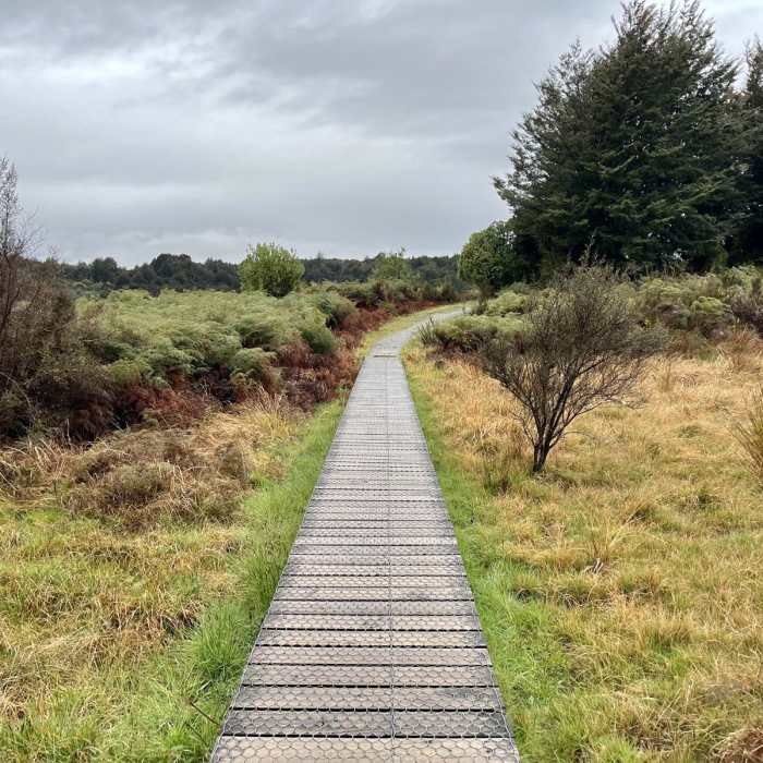 Near Lake Mistletoe Track Near Lake Mistletoe Track