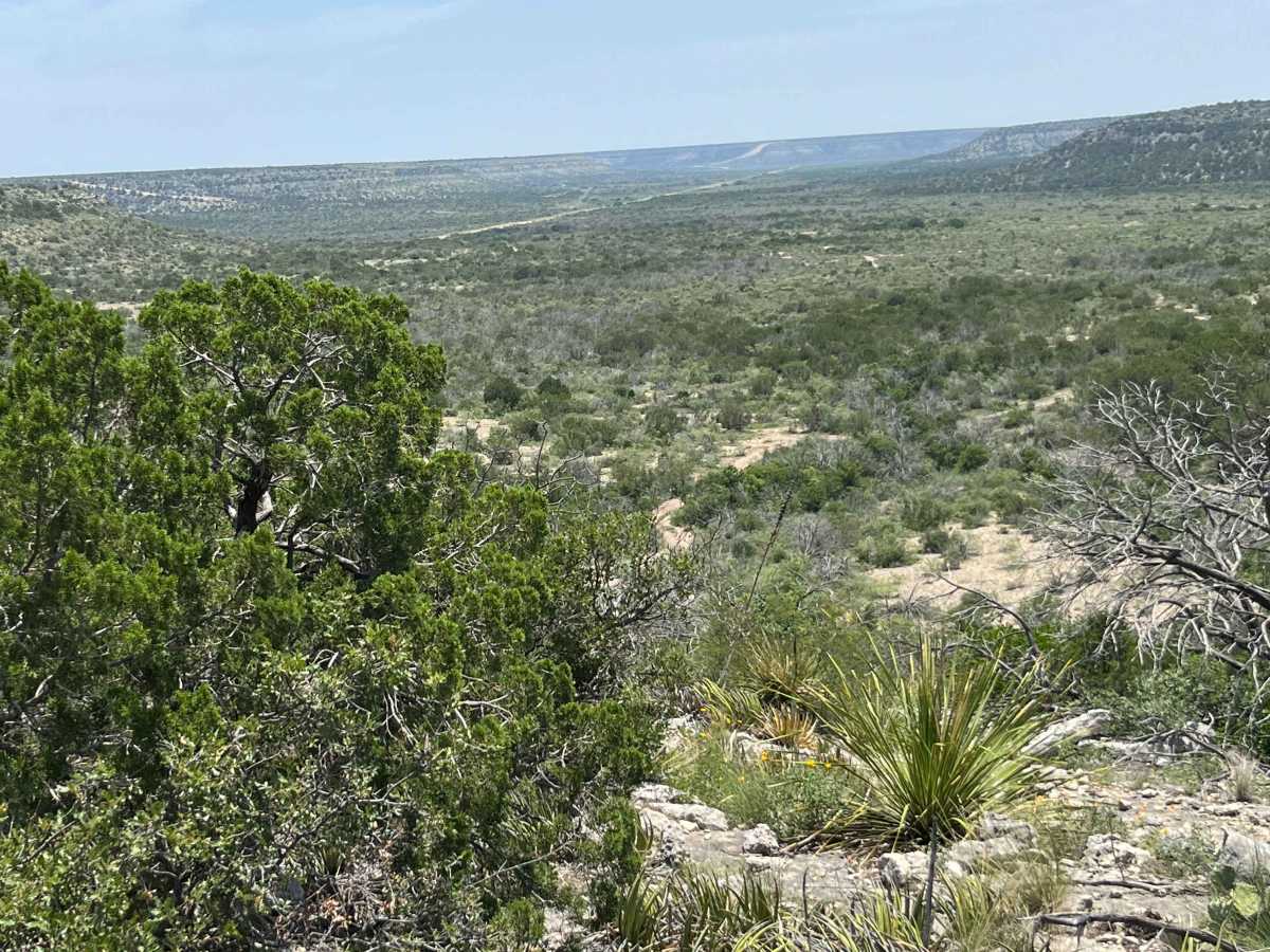 Vaquero Trail - V-28 photo 6