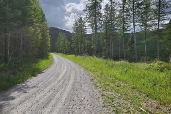 Patrick Creek to Emmons Creek