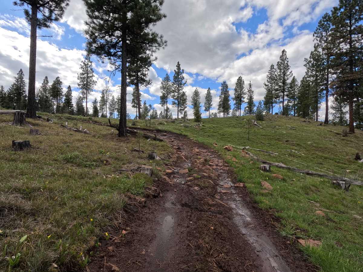 Trail G3 Hillclimb photo 3