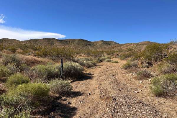Painted Canyon Run
