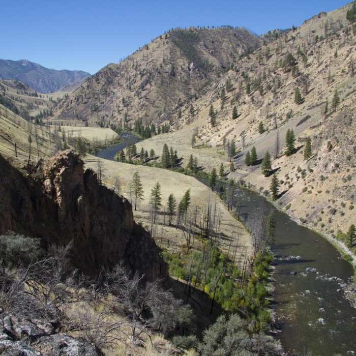 Near Middle Fork of the Salmon River Trail a Day 4