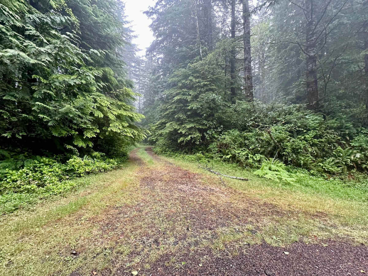 Cape Creek - FS 1057  photo 4