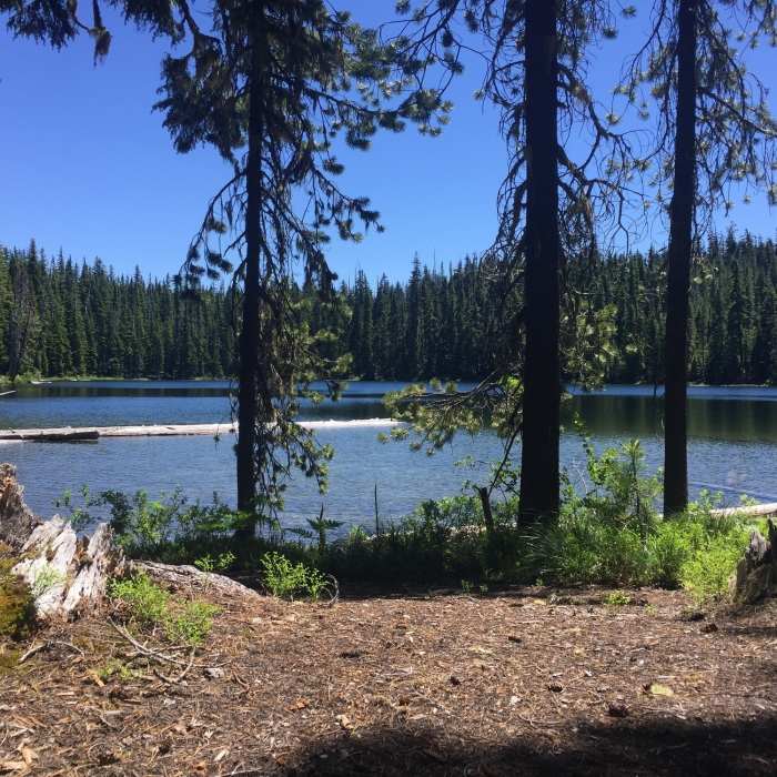 Near Odell to Windigo Loop