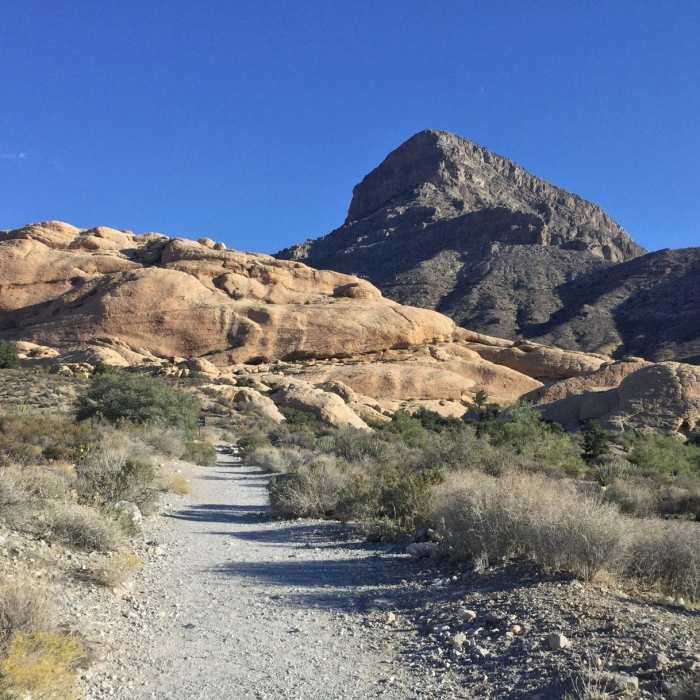 Near Calico Tanks Trail