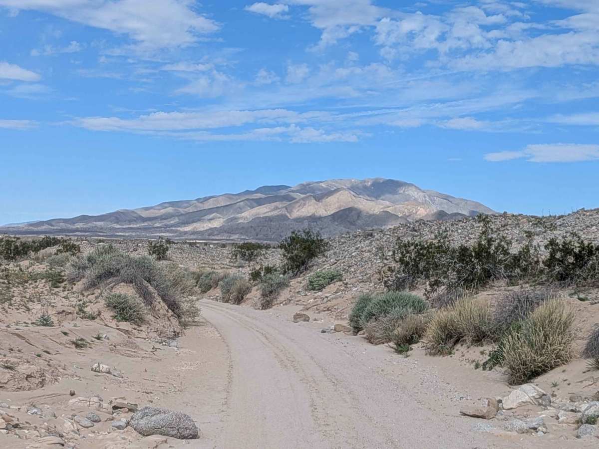 BLM 063 photo 5