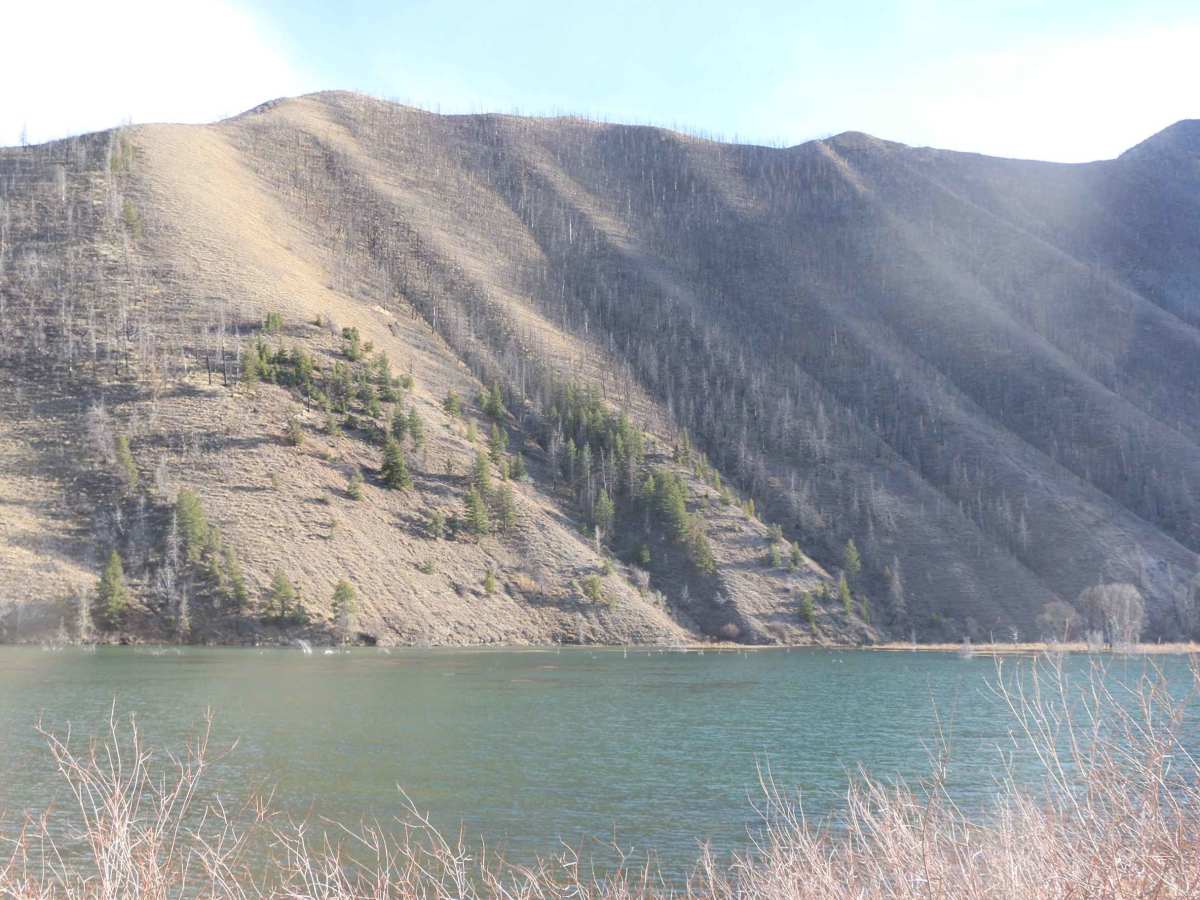 Strawberry River Road photo 4