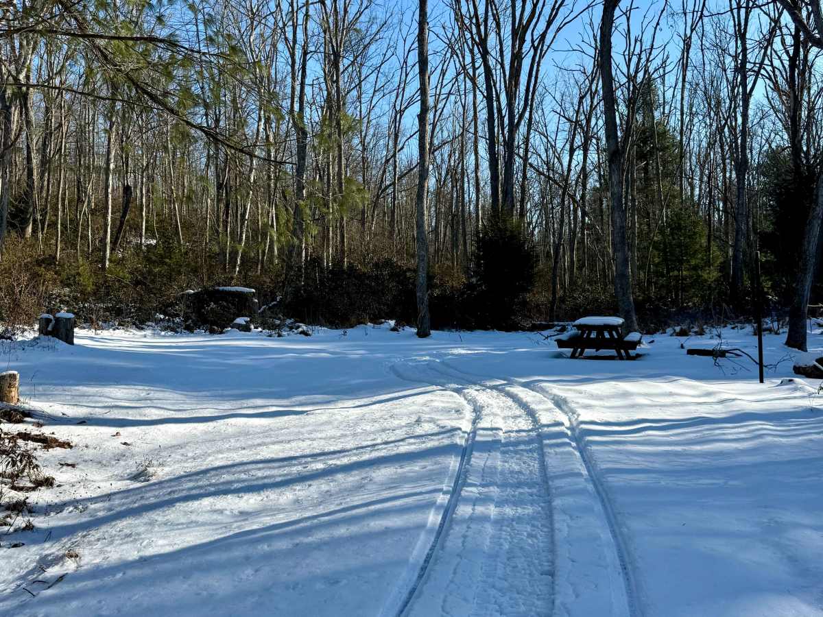 Duncan Trail photo 5