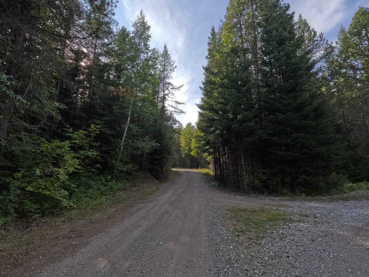 Hanks Butte Road photo 5