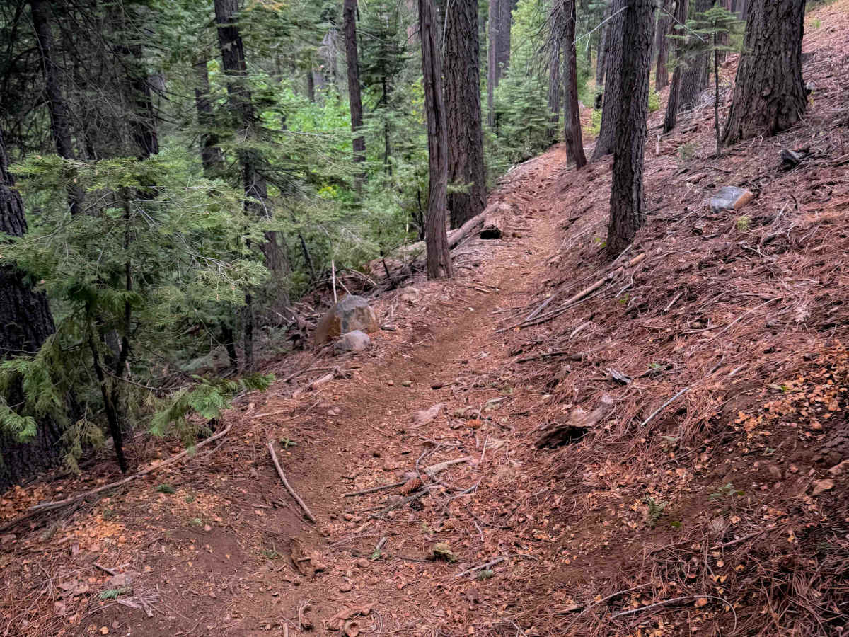 15EV56  trail photo