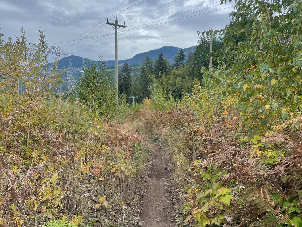 Rob’s Rip Connector photo 6