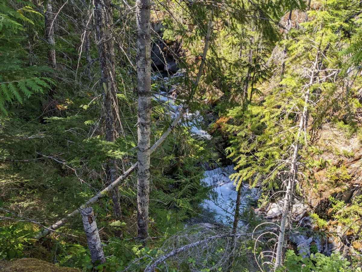 Hamma Hamma Falls photo 3