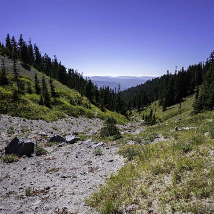 Near Timberline Lodge to Zig Zag Canyon Near Timberline Lodge to Zig Zag Canyon