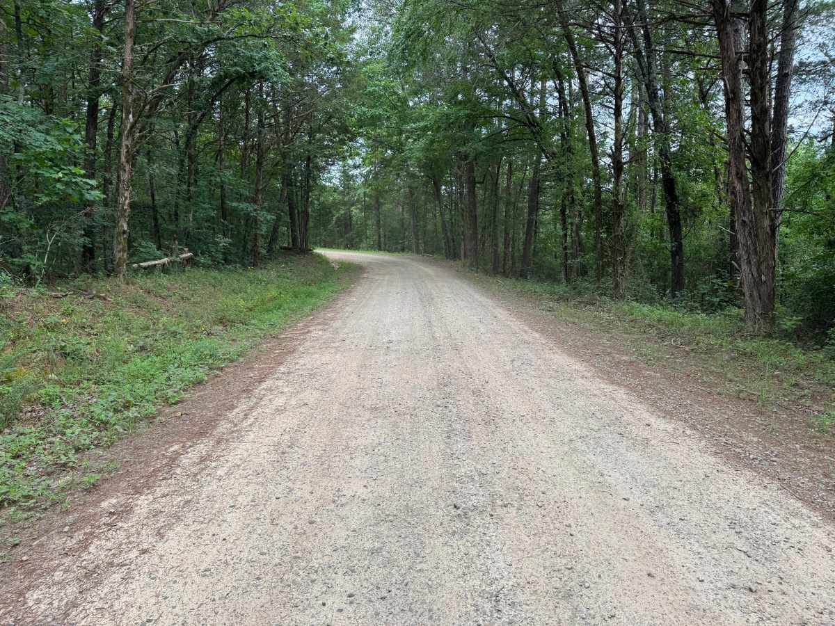 County Road 3546 photo 5