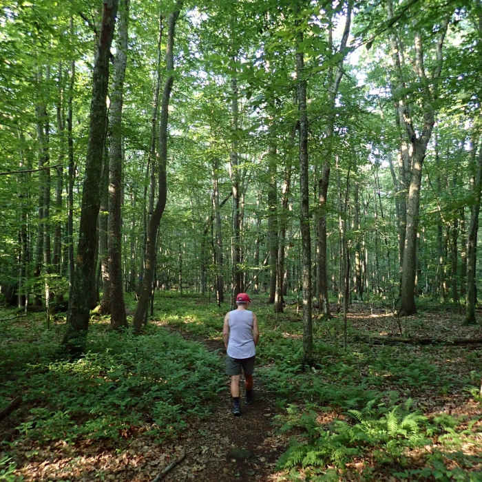 Near Blue Trail
