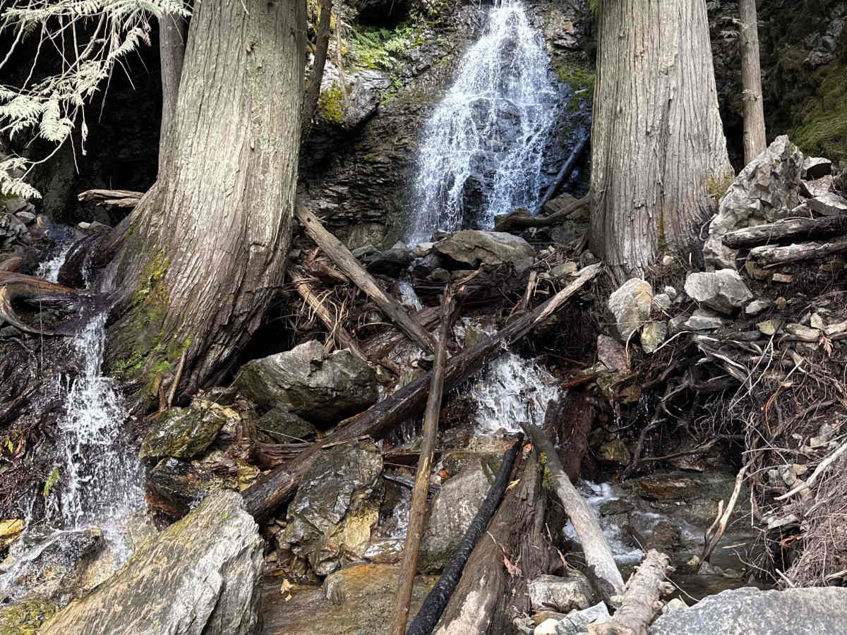 Scotch Creek FSR photo 2