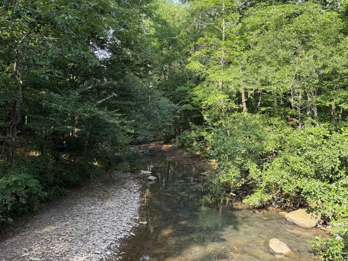 East Fork Bypass photo 5