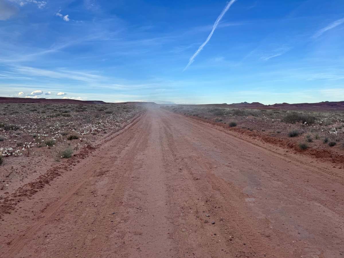 BLM 147 photo 4