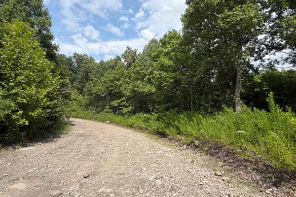 Little Buckhorn Creek Trail North