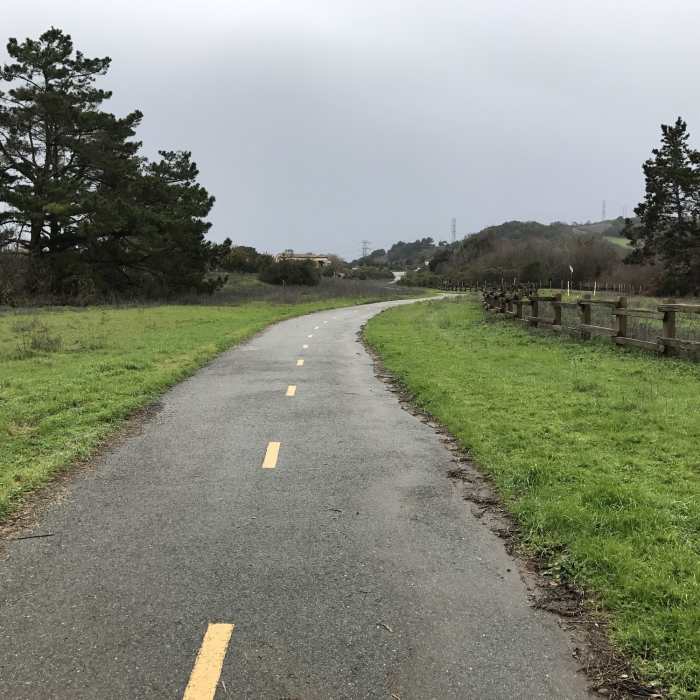 Near Permanente Creek Trail