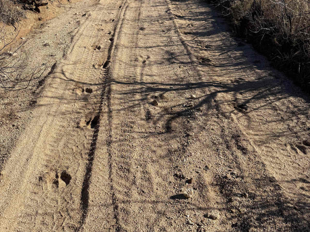 Peterson Canyon photo 4
