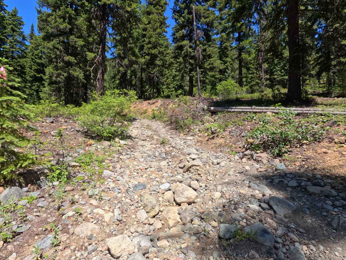 Van Epps Pass - FS 4W302 photo 3