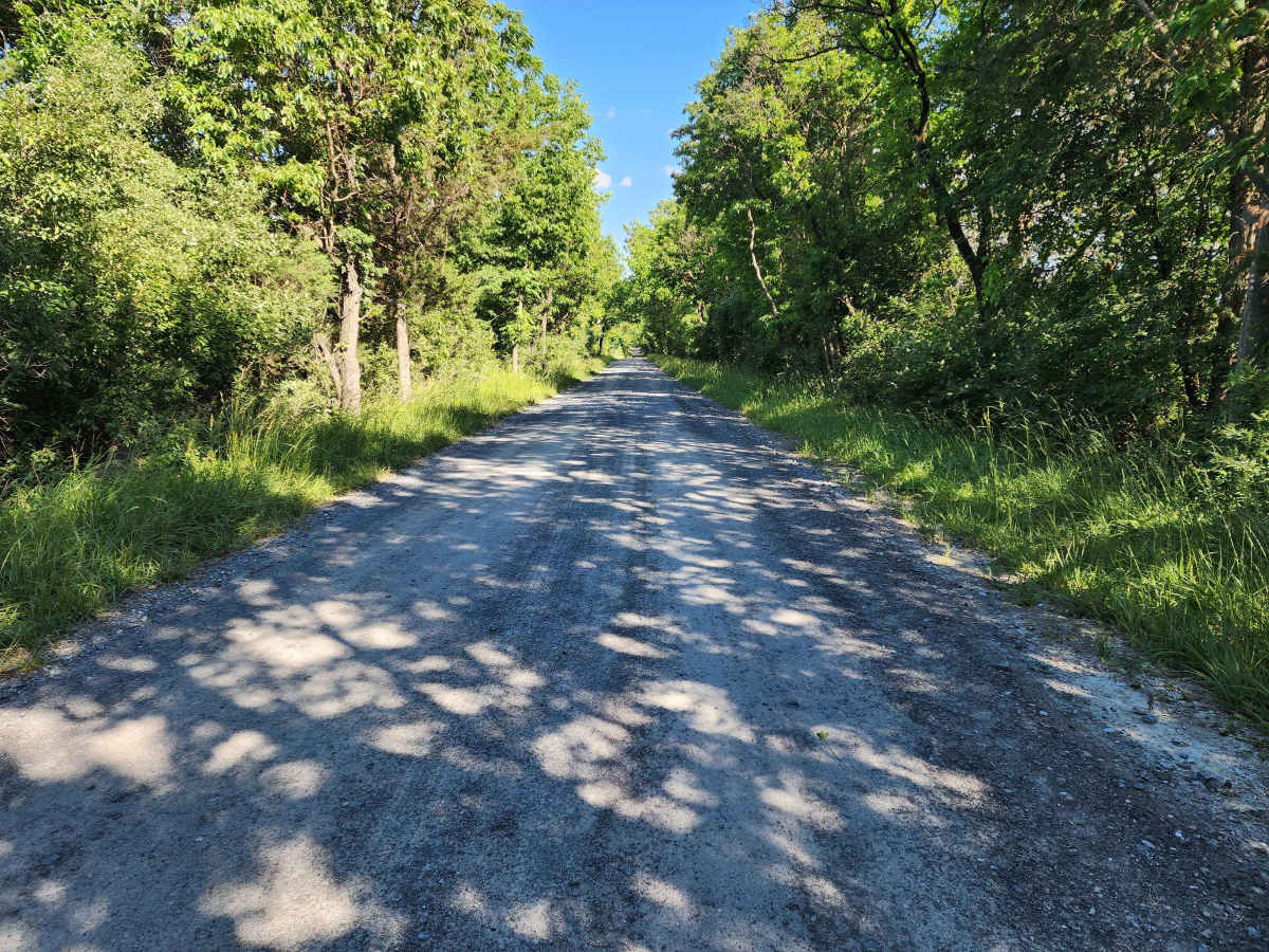 Whites Ferry photo 3