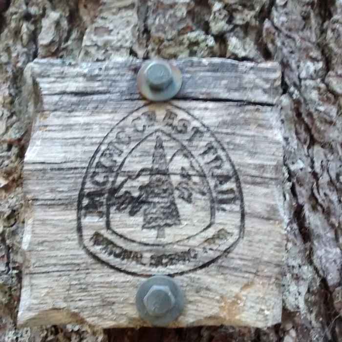 Near PCT: Herman Creek to Eagle Benson