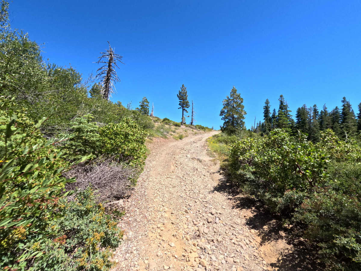 Fir Cap Road photo 3