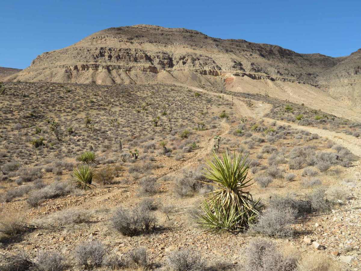 Valley View Trail photo 5