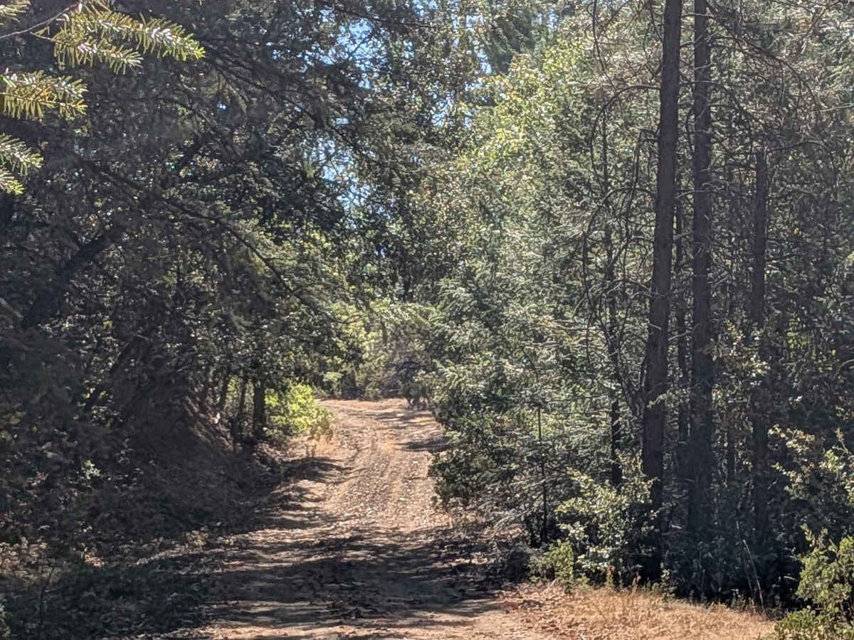 FS 2S62 trail photo