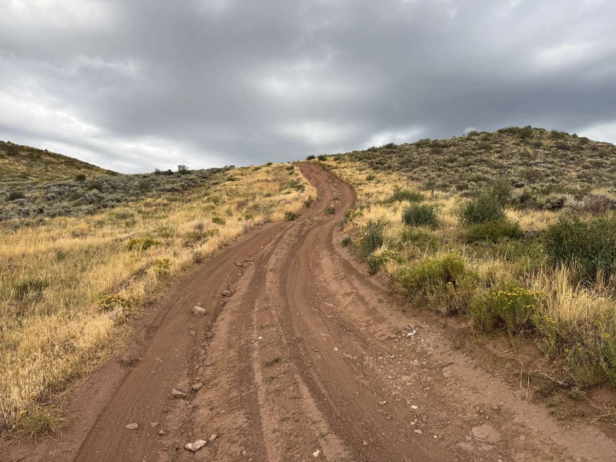 Beard Creek Road photo 5