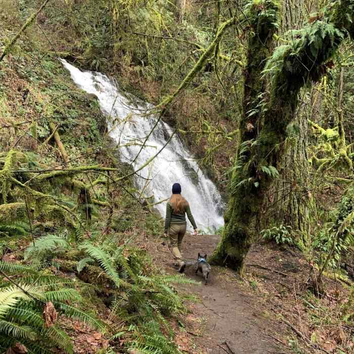 Near Lacamas Creek Trail