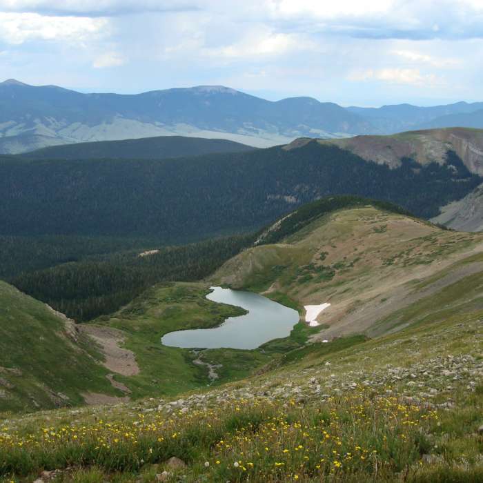 Near Wheeler Peak Trail #90