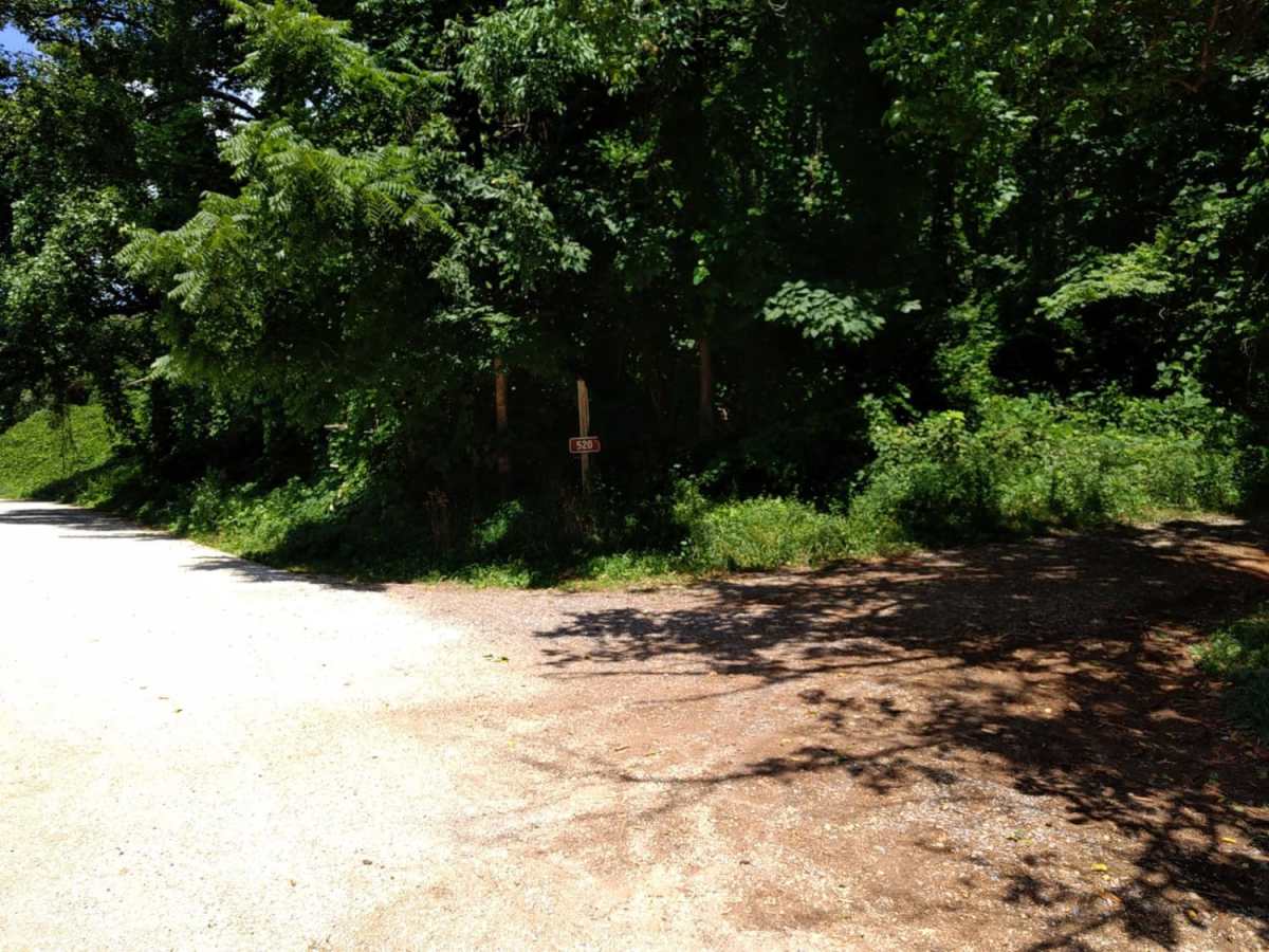 Cow Camp Road trail photo