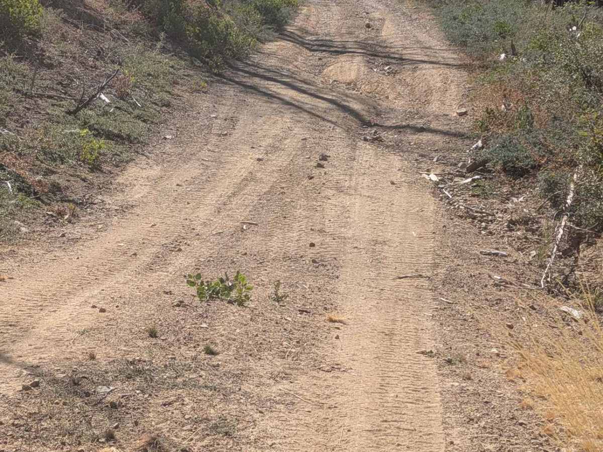 Redding Pine Road - FS 29N38 photo 5