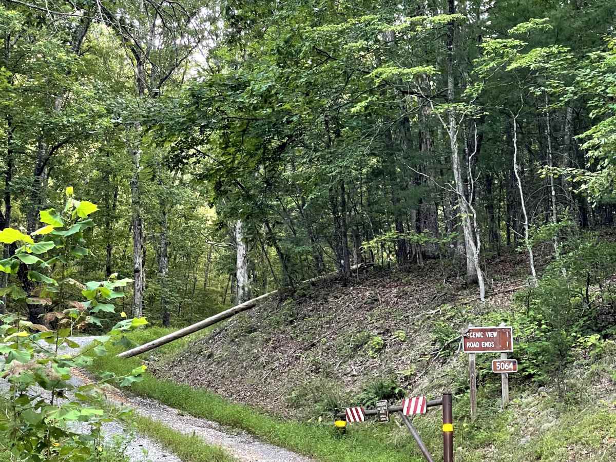 FS 5064 trail photo