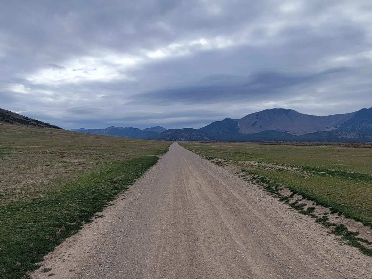 Homansville Pass Road photo 6