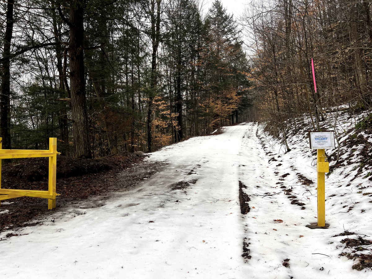 Williams Trail trail photo