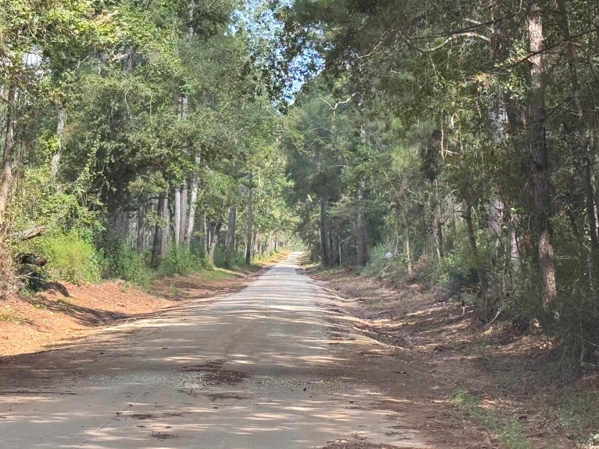 Shell Oil Road photo 2