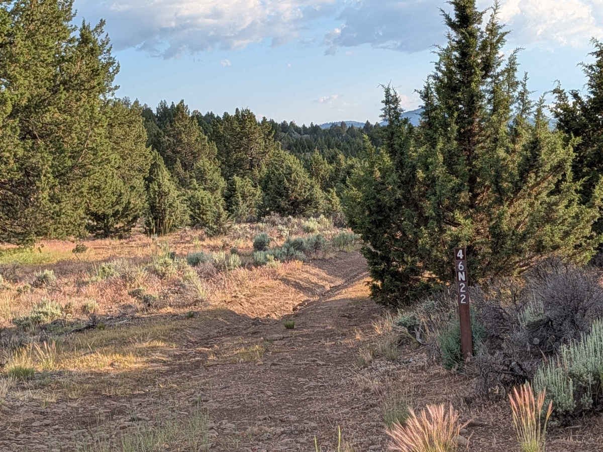Bento Butte - FS 46N22 photo 4