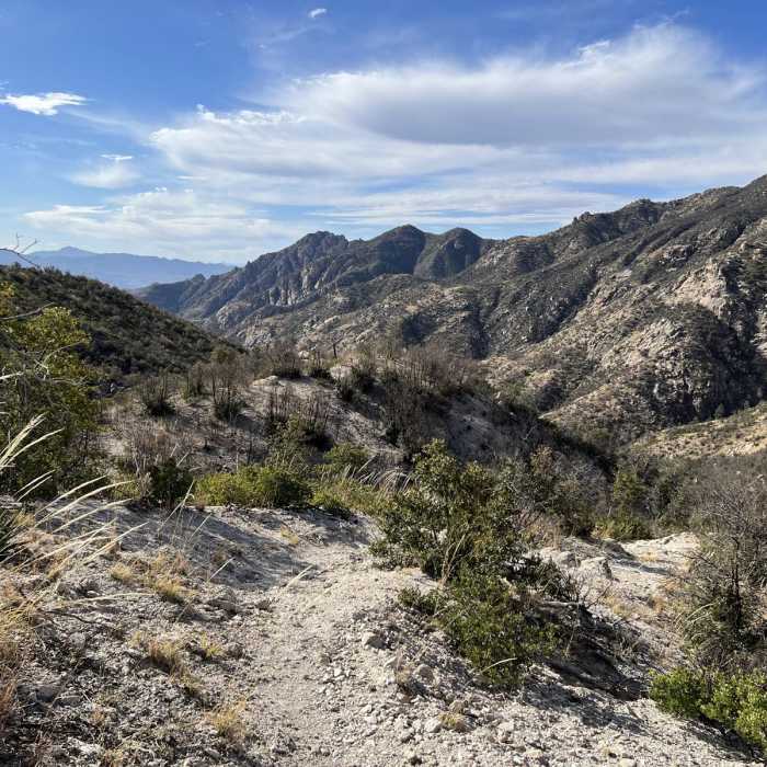 Near Sutherland Loop