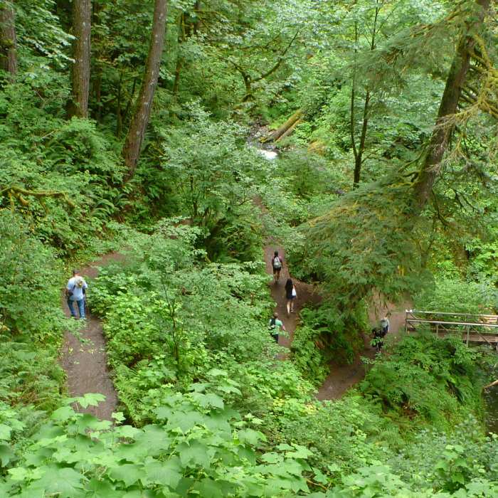 Near Oneonta Trail #424