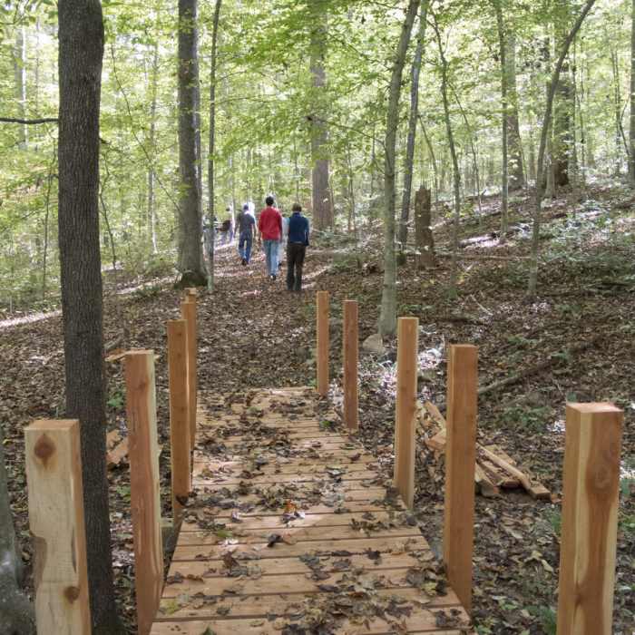 The cedar bridges, handcrafted from local cedar by TLC staff, are great to have around Horton Grove Nature Preserve, especially when it's been raining. Near Walker Trail